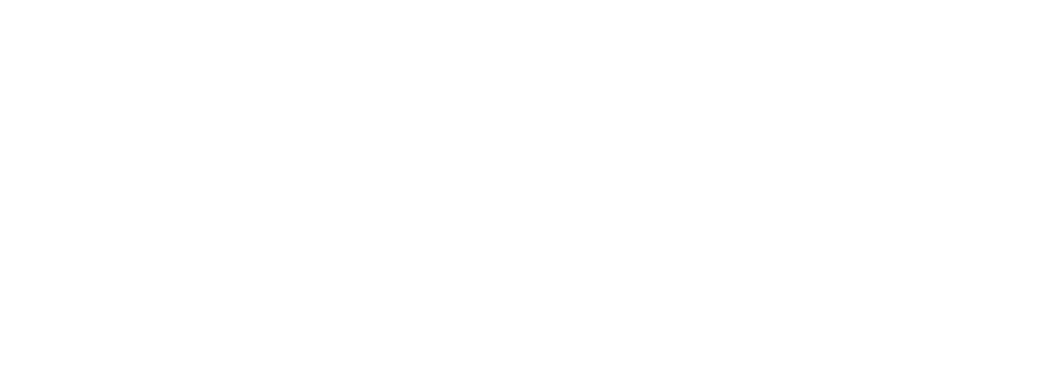 Websitra Studio